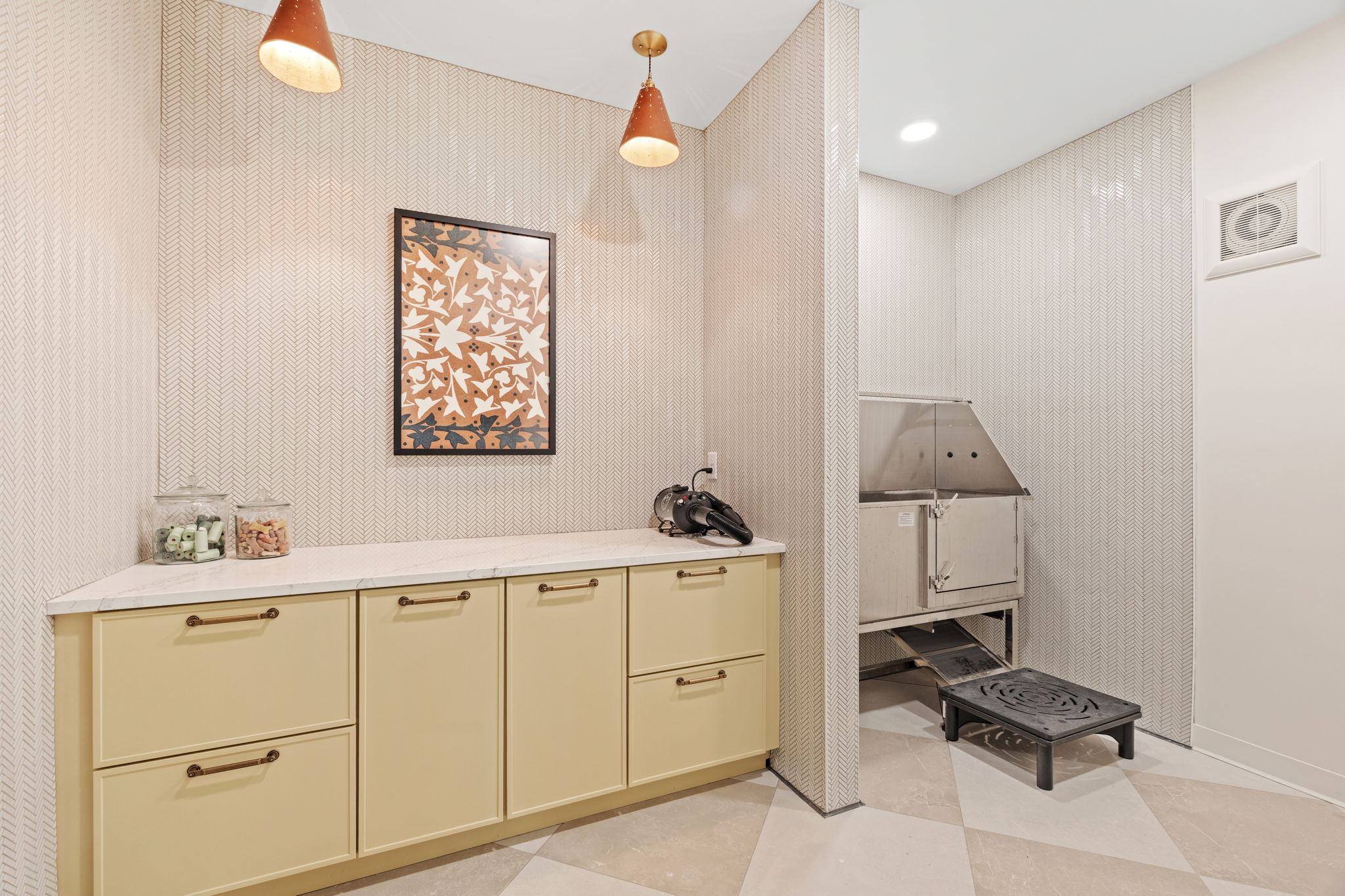 Dog spa space with dryer and wash