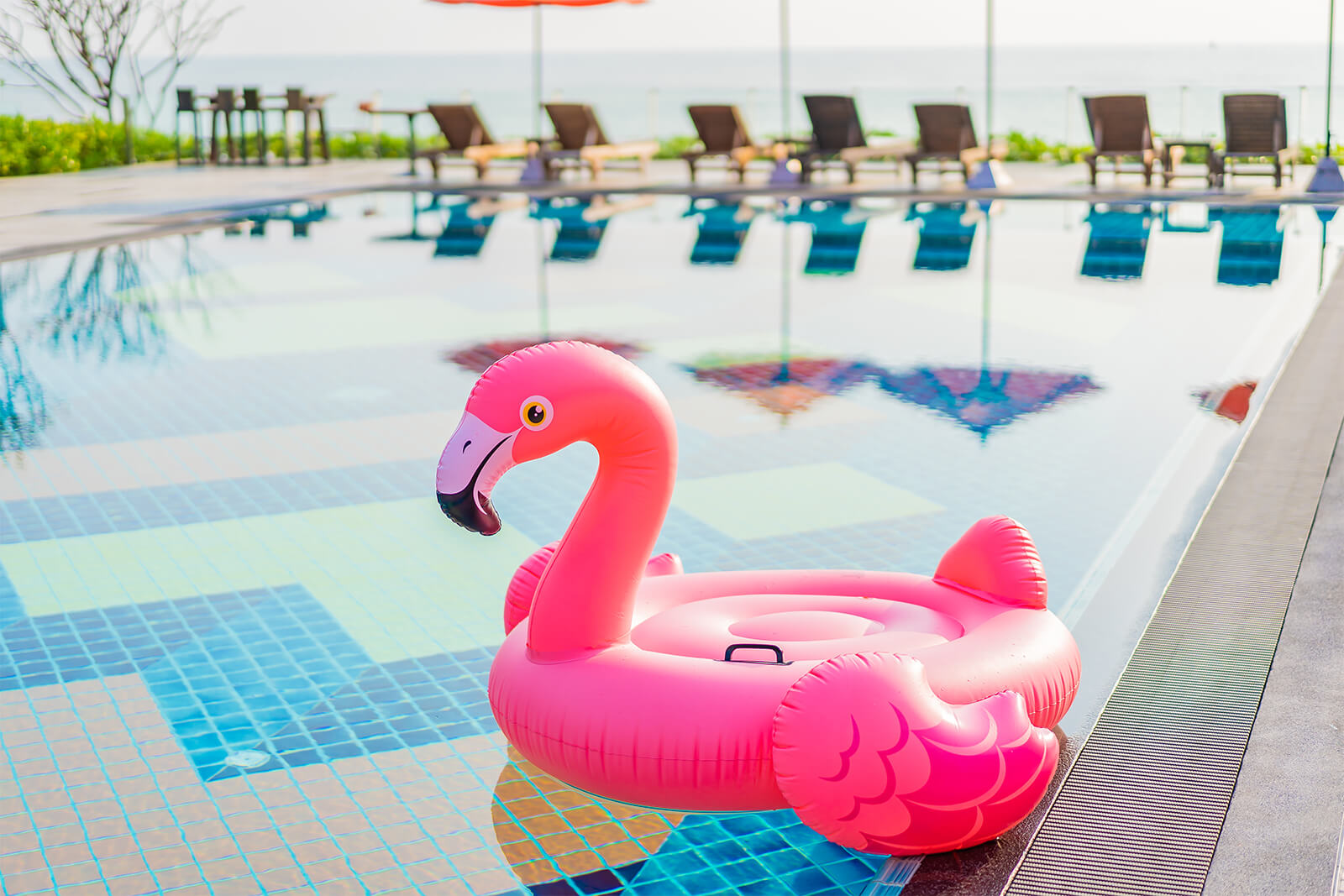 Pink inflatable flamingo float by the pool with ocean in background