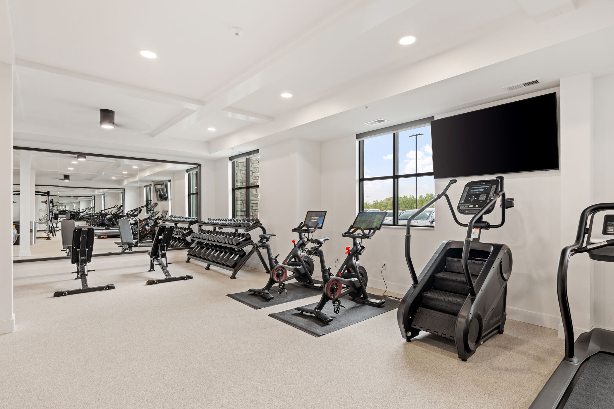 Fitness room weights and mirror area
