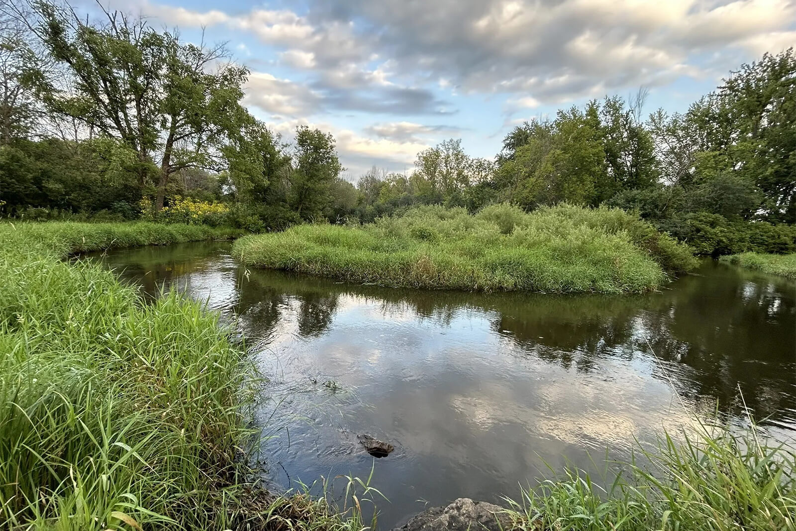 Scenic river bend with lush green grass and trees under cloudy sky