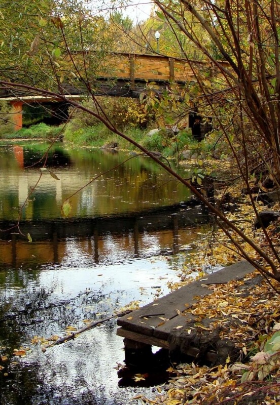 Outdoor scenic spot with lush greenery and a walking path surrounded by nature.