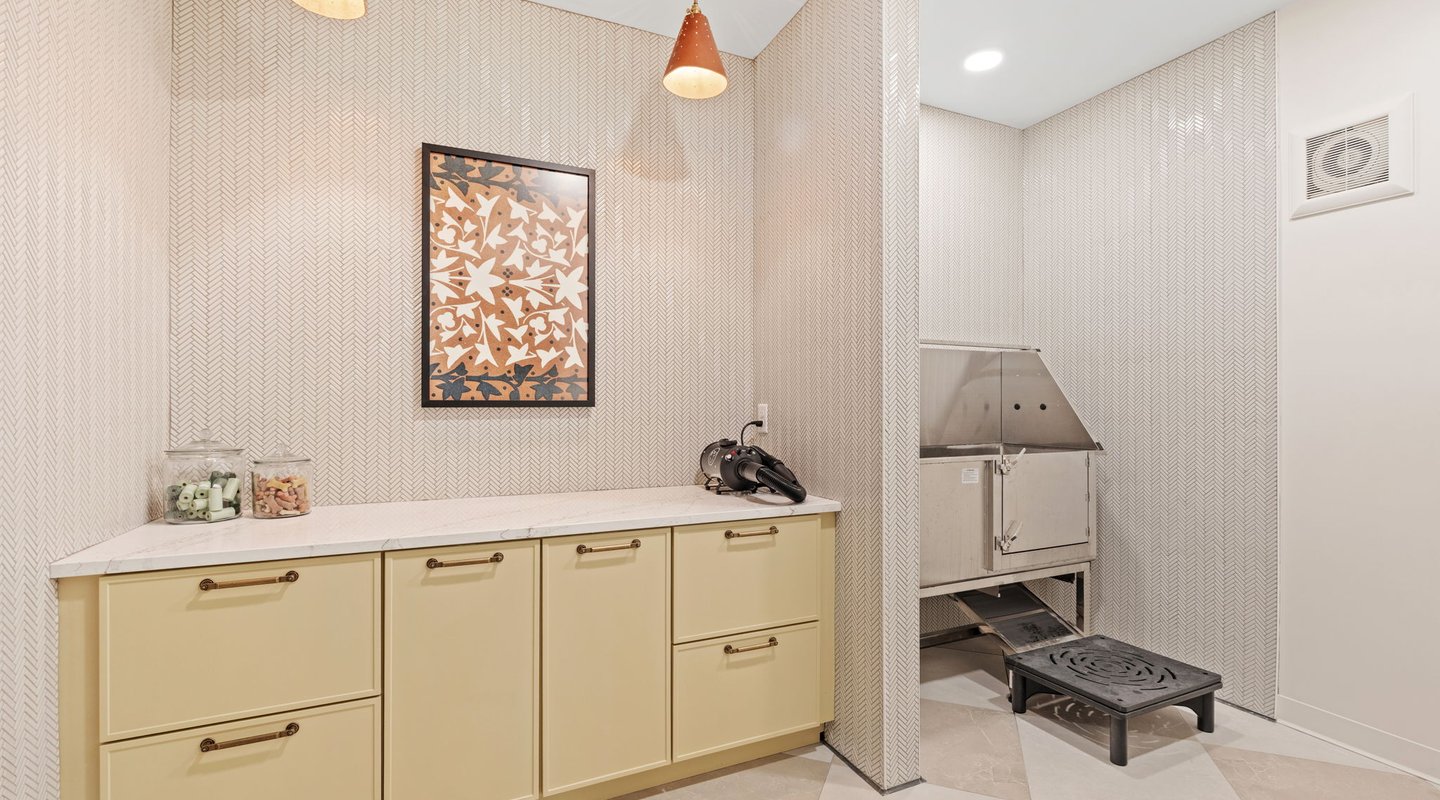 dog spa with bath and dryer